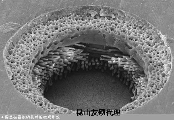 安徽蔡司安徽扫描电镜